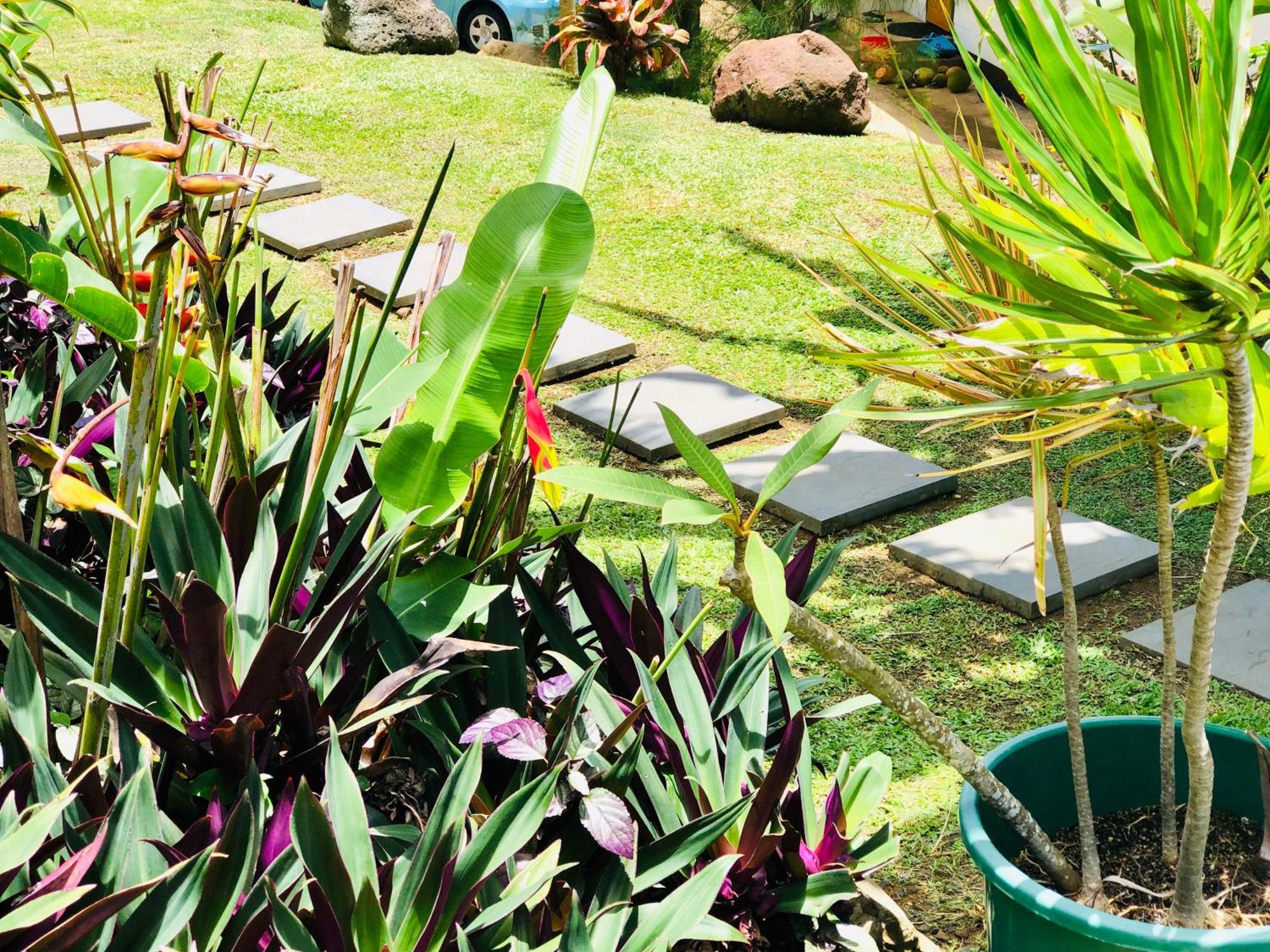 Muri Vista Villas Rarotonga Exteriér fotografie